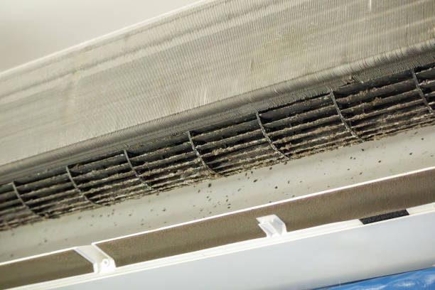 Best Dryer Vent Cleaning Services  in West Fairview, PA
